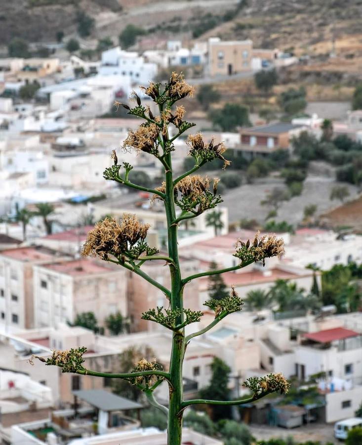 Nijar Bella Y Su Parque Natural Cabo De Gata Екстер'єр фото